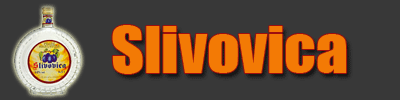 logo.gif